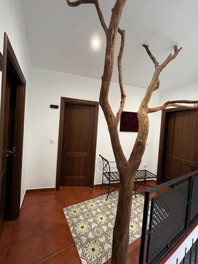 Casa Rural Las Pelliquerinas Almoharin エクステリア 写真